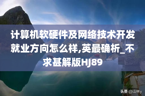 计算机软硬件及网络技术开发就业方向怎么样,英最确析_不求甚解版HJ89