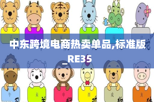 中东跨境电商热卖单品,标准版_RE35