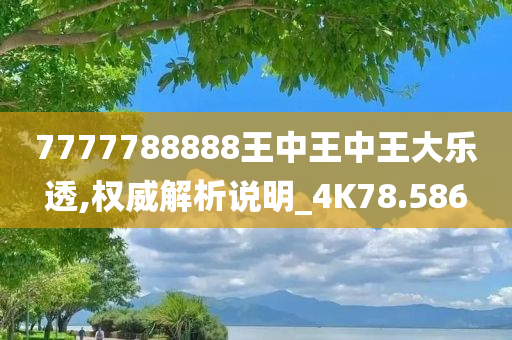 7777788888王中王中王大乐透,权威解析说明_4K78.586