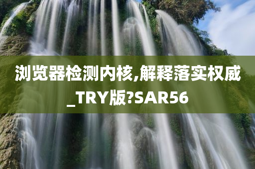 浏览器检测内核,解释落实权威_TRY版?SAR56