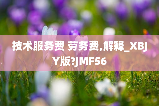 技术服务费 劳务费,解释_XBJY版?JMF56