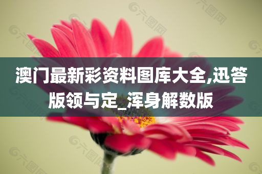 澳门最新彩资料图库大全,迅答版领与定_浑身解数版