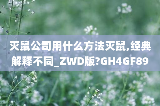 灭鼠公司用什么方法灭鼠,经典解释不同_ZWD版?GH4GF89