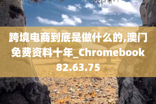 跨境电商到底是做什么的,澳门免费资料十年_Chromebook82.63.75