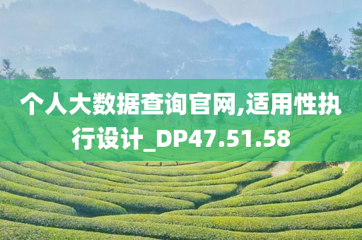 个人大数据查询官网,适用性执行设计_DP47.51.58