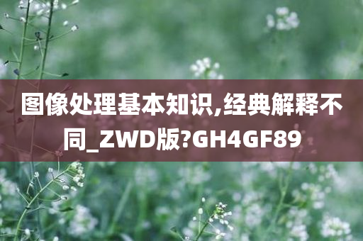 图像处理基本知识,经典解释不同_ZWD版?GH4GF89