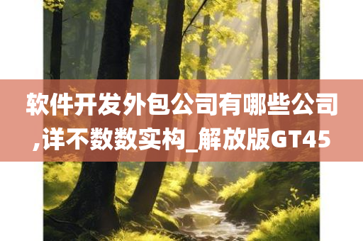 软件开发外包公司有哪些公司,详不数数实构_解放版GT45