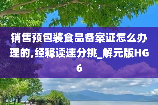 销售预包装食品备案证怎么办理的,经释读速分挑_解元版HG6