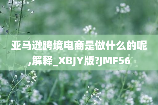 亚马逊跨境电商是做什么的呢,解释_XBJY版?JMF56