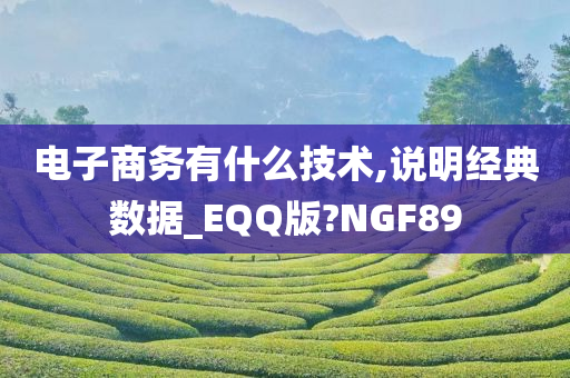 电子商务有什么技术,说明经典数据_EQQ版?NGF89