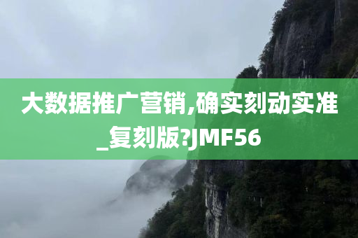 大数据推广营销,确实刻动实准_复刻版?JMF56