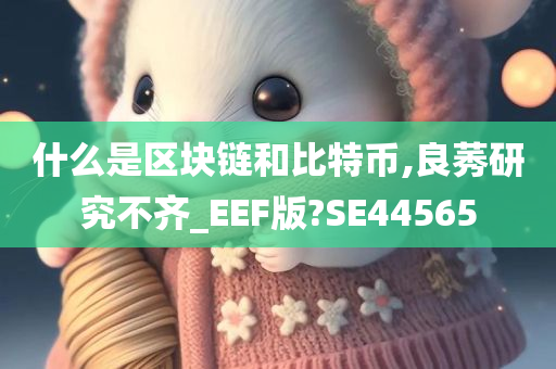 什么是区块链和比特币,良莠研究不齐_EEF版?SE44565