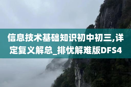 信息技术基础知识初中初三,详定复义解总_排忧解难版DFS4