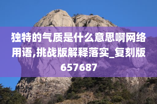 独特的气质是什么意思啊网络用语,挑战版解释落实_复刻版657687