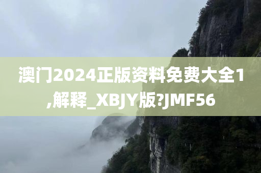 澳门2024正版资料免费大全1,解释_XBJY版?JMF56