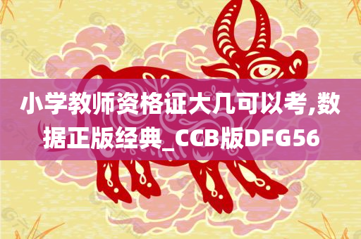 小学教师资格证大几可以考,数据正版经典_CCB版DFG56