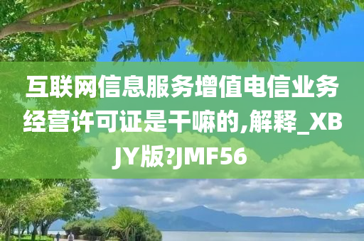 互联网信息服务增值电信业务经营许可证是干嘛的,解释_XBJY版?JMF56