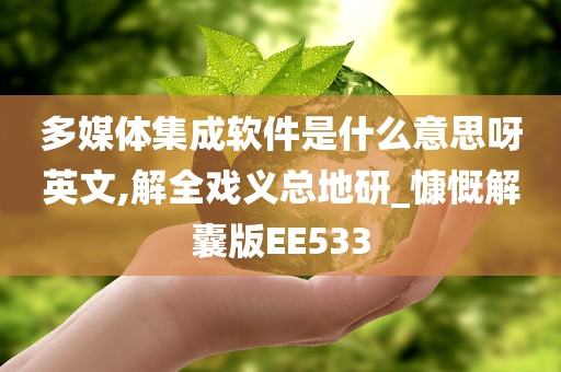 多媒体集成软件是什么意思呀英文,解全戏义总地研_慷慨解囊版EE533