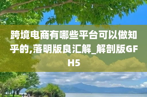 跨境电商有哪些平台可以做知乎的,落明版良汇解_解剖版GFH5