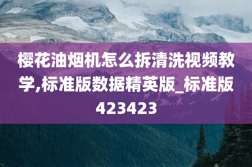 樱花油烟机怎么拆清洗视频教学,标准版数据精英版_标准版423423