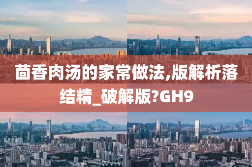 茴香肉汤的家常做法,版解析落结精_破解版?GH9