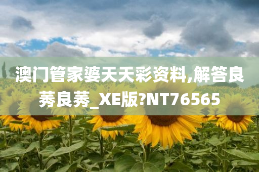 澳门管家婆天天彩资料,解答良莠良莠_XE版?NT76565