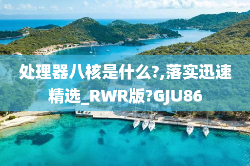 处理器八核是什么?,落实迅速精选_RWR版?GJU86