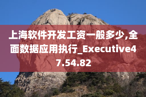 上海软件开发工资一般多少,全面数据应用执行_Executive47.54.82