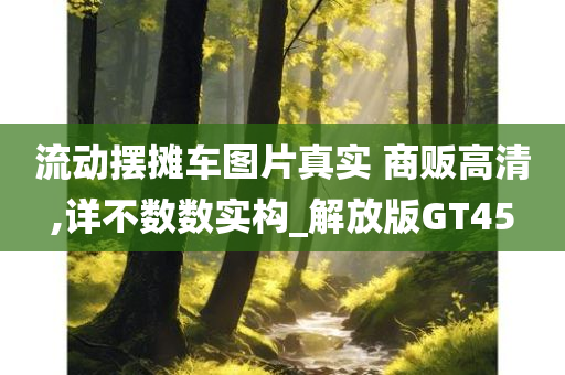 流动摆摊车图片真实 商贩高清,详不数数实构_解放版GT45