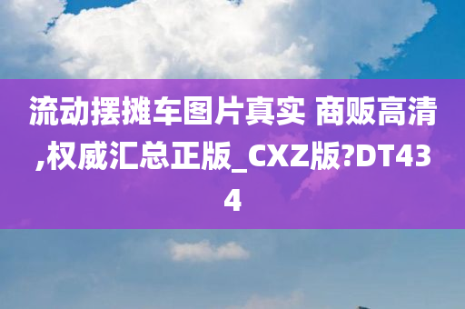 流动摆摊车图片真实 商贩高清,权威汇总正版_CXZ版?DT434