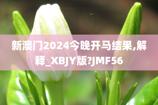 新澳门2024今晚开马结果,解释_XBJY版?JMF56