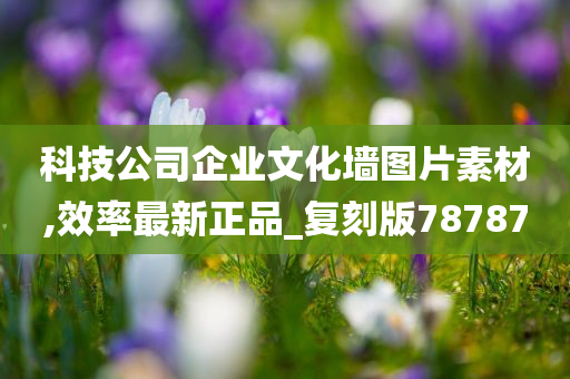 科技公司企业文化墙图片素材,效率最新正品_复刻版78787