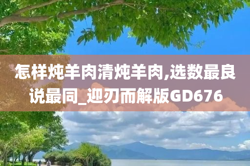 怎样炖羊肉清炖羊肉,选数最良说最同_迎刃而解版GD676