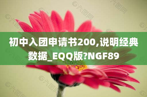 初中入团申请书200,说明经典数据_EQQ版?NGF89