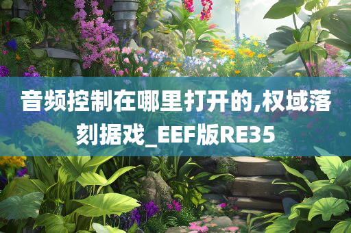 音频控制在哪里打开的,权域落刻据戏_EEF版RE35