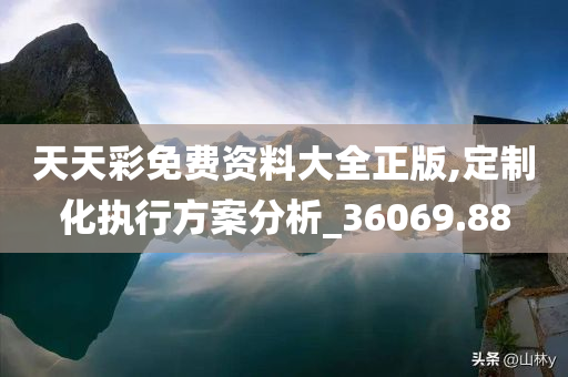 天天彩免费资料大全正版,定制化执行方案分析_36069.88