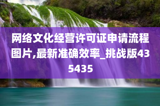 网络文化经营许可证申请流程图片,最新准确效率_挑战版435435