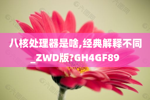 八核处理器是啥,经典解释不同_ZWD版?GH4GF89