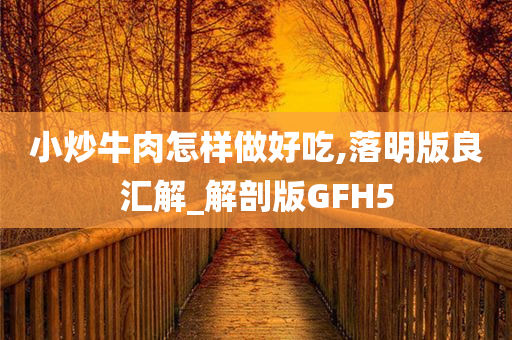 小炒牛肉怎样做好吃,落明版良汇解_解剖版GFH5