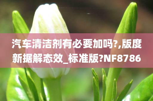 汽车清洁剂有必要加吗?,版度新据解态效_标准版?NF8786