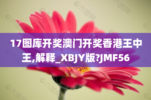 17图库开奖澳门开奖香港王中王,解释_XBJY版?JMF56