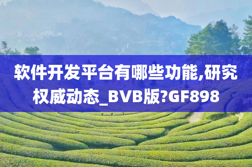 软件开发平台有哪些功能,研究权威动态_BVB版?GF898