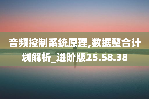 音频控制系统原理,数据整合计划解析_进阶版25.58.38