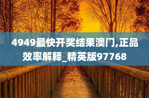 4949最快开奖结果澳门,正品效率解释_精英版97768