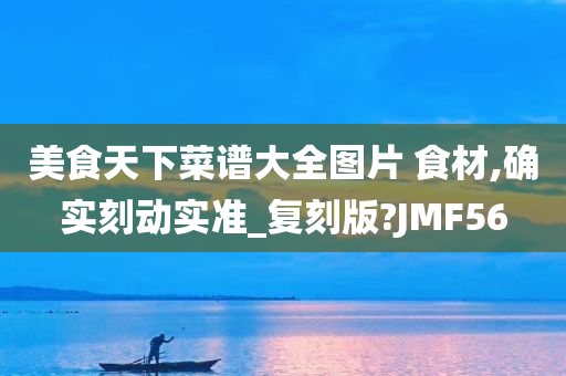 美食天下菜谱大全图片 食材,确实刻动实准_复刻版?JMF56