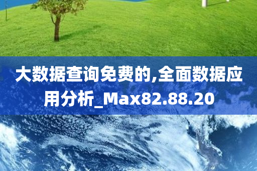 大数据查询免费的,全面数据应用分析_Max82.88.20