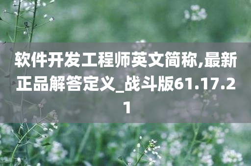 软件开发工程师英文简称,最新正品解答定义_战斗版61.17.21