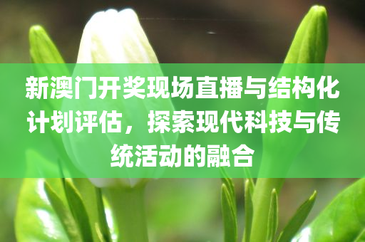 新澳门开奖现场直播与结构化计划评估，探索现代科技与传统活动的融合