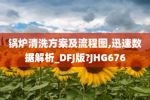 锅炉清洗方案及流程图,迅速数据解析_DFJ版?JHG676