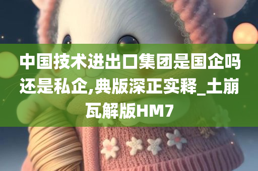 中国技术进出口集团是国企吗还是私企,典版深正实释_土崩瓦解版HM7